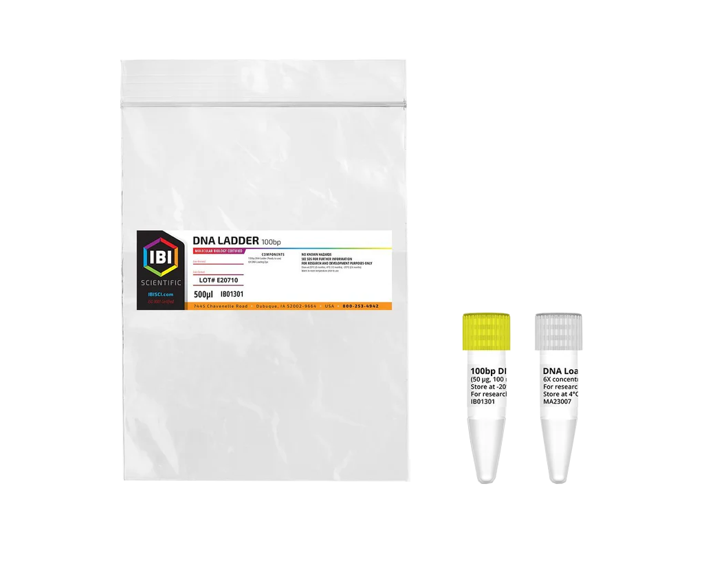100bp DNA Ladder