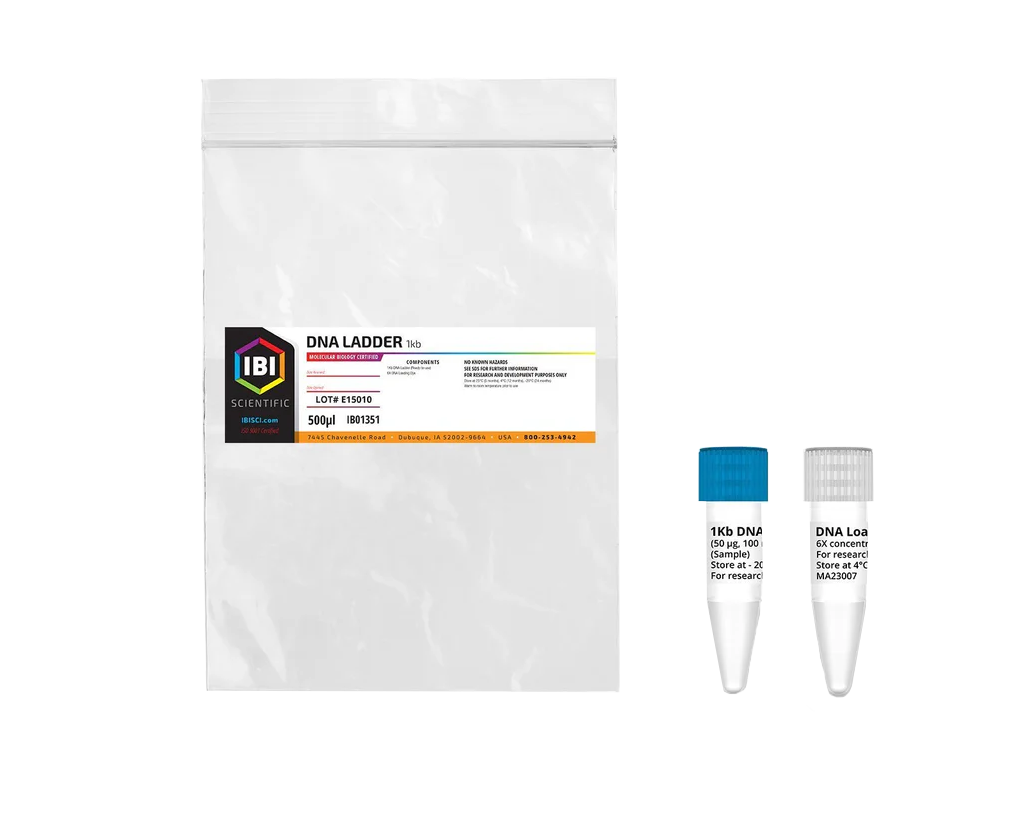 1kb DNA Ladder