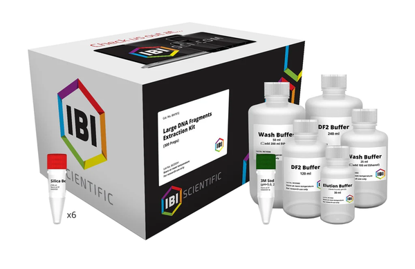 Large DNA Fragment Extraction Kits | DNA Extraction | IBI Scientific