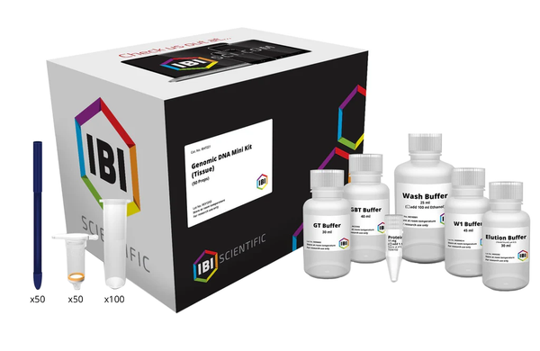 Mini Genomic DNA Kit | Tissue | DNA Extraction | IBI Scientific