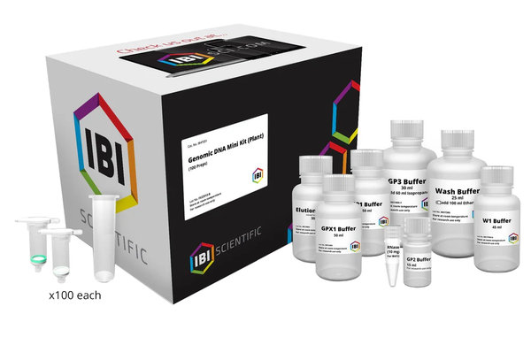 Mini Genomic DNA Kit | Plant & Fungi | DNA Extraction | IBI Scientific