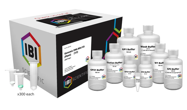 IB47232_Kit_grande.png?v=