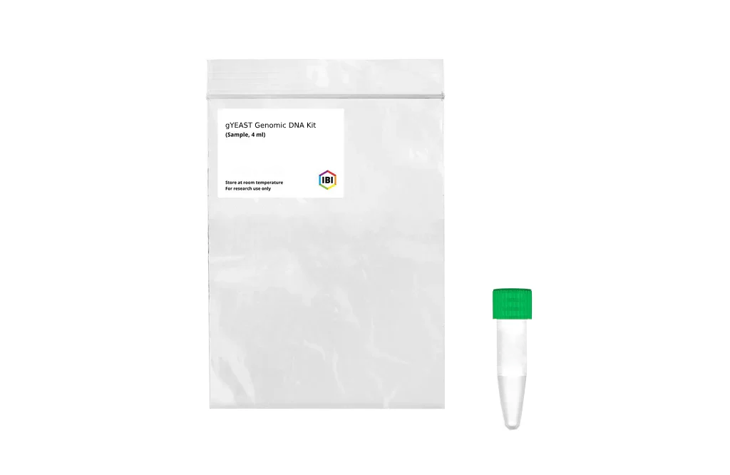 gYEAST Mini Genomic DNA Kit