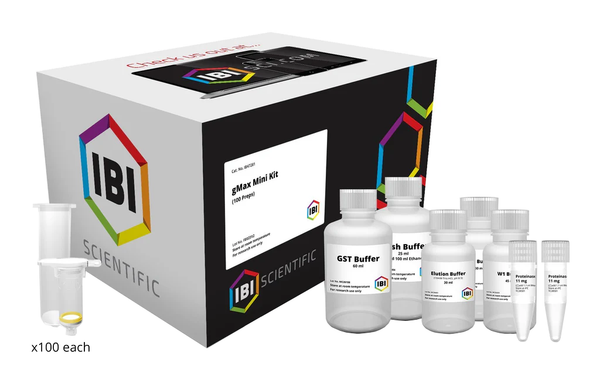 IB47281Kit_grande.png?v=1746635861