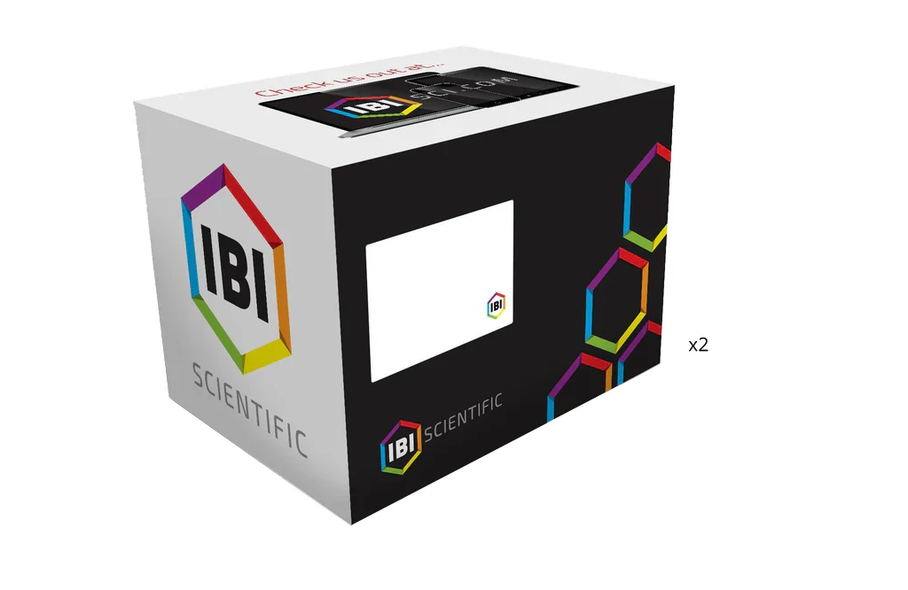 96 Well Genomic DNA Bacteria Kit