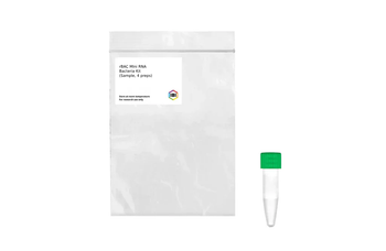 rBAC Mini Total RNA Kit