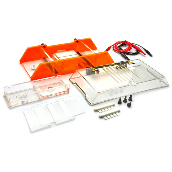 Dual Gel Horizontal Electrophoresis System | IBI Scientific