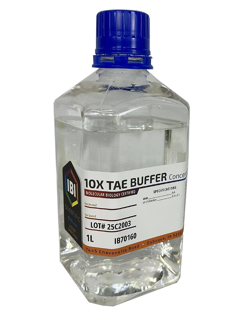 10X TAE Buffer