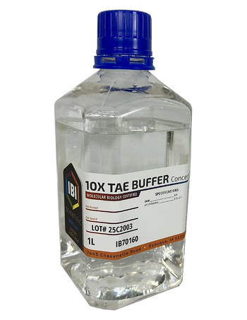 10X TAE Buffer