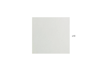 Transfer Membrane, 0.45µm PVDF