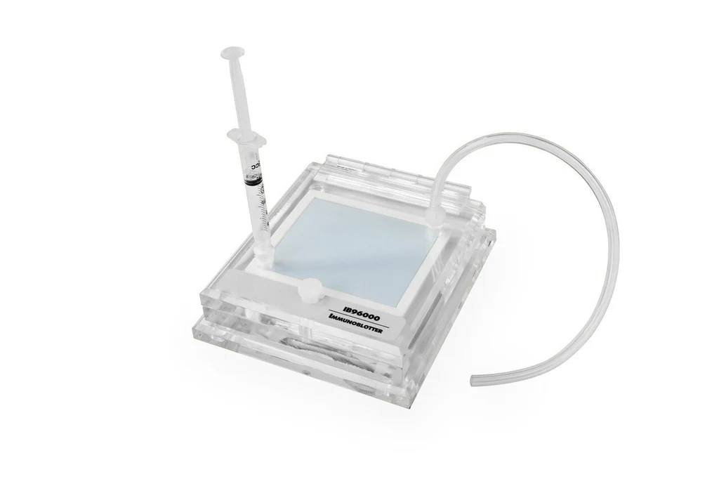 Immunoblotter
