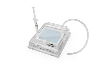 Immunoblotter