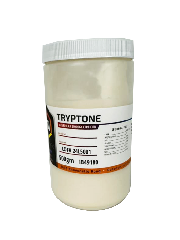 Tryptone 500gm by IBI Scientific