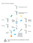 DNA/RNA/Protein Extraction Kit Quick Protocol Diagram