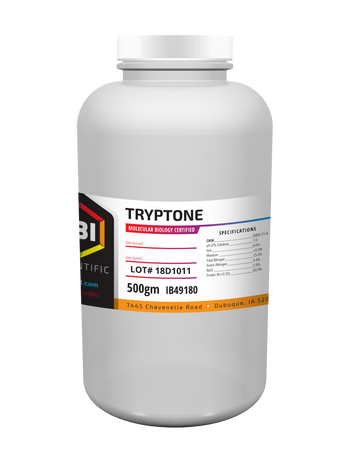 Tryptone 500 gm Bottle