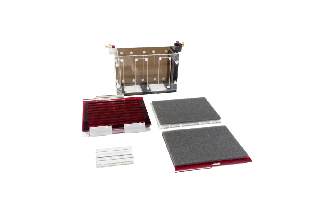 Western Transfer Module for Western Blot application