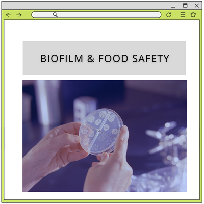 Biofilm and Food Safety: What is important to know?