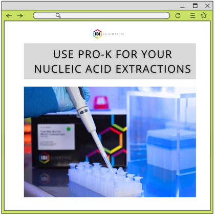How to Use Recombinant Proteinase K For Your Nucleic Acid Extractions
