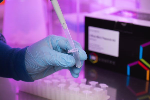 DNA Extraction