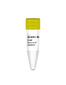 gBAC Mini Genomic DNA Kit
