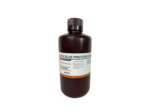Quick Blue Protein Stain | Coomassie | IBI Scientific