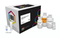 Gel Extraction & PCR Cleanup Kit