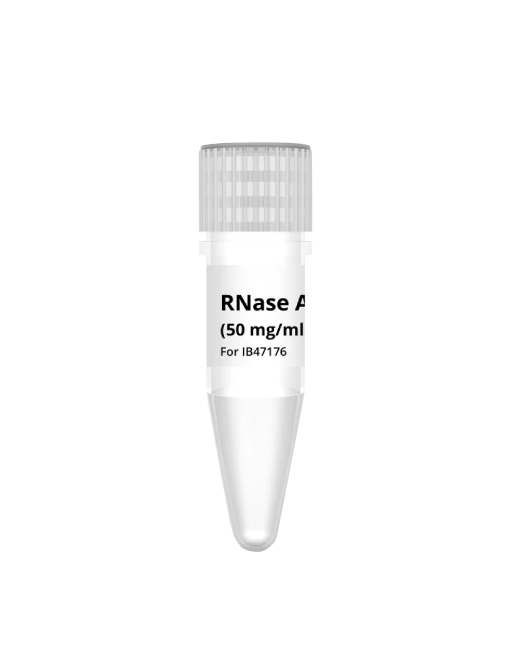 RNase A Solution | Hi-Speed Plasmid Kit | IBI Scientific