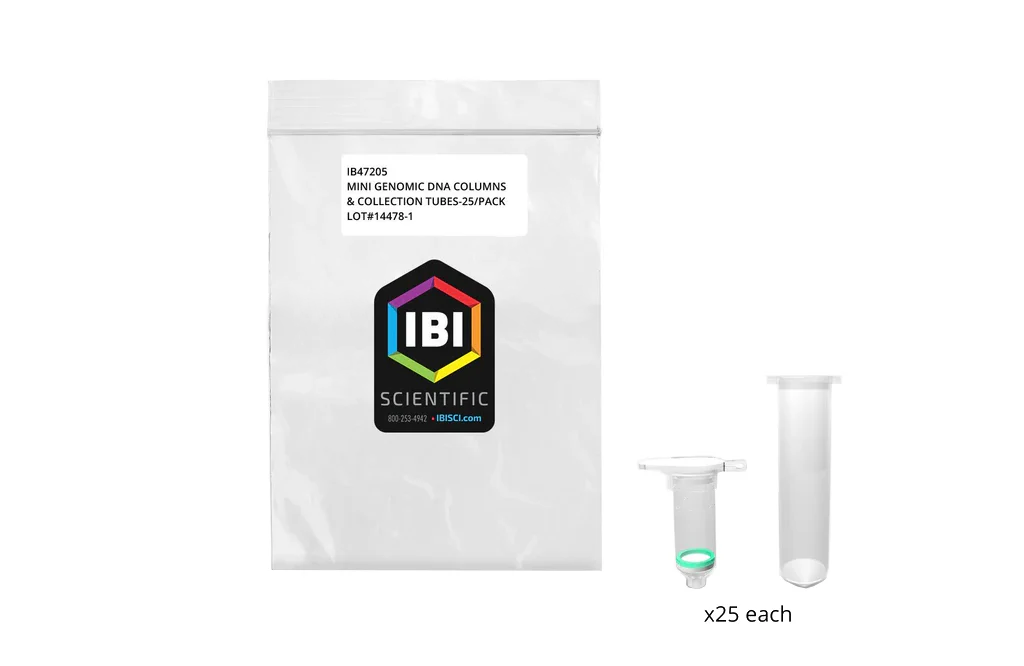 Gummy Bundle - CBD Raspberry and CBN Elderberry | Head & Heal