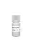 gBAC Mini Genomic DNA Kit