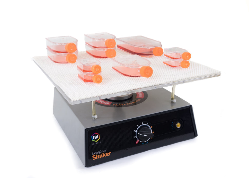 Belly shaker machine discount