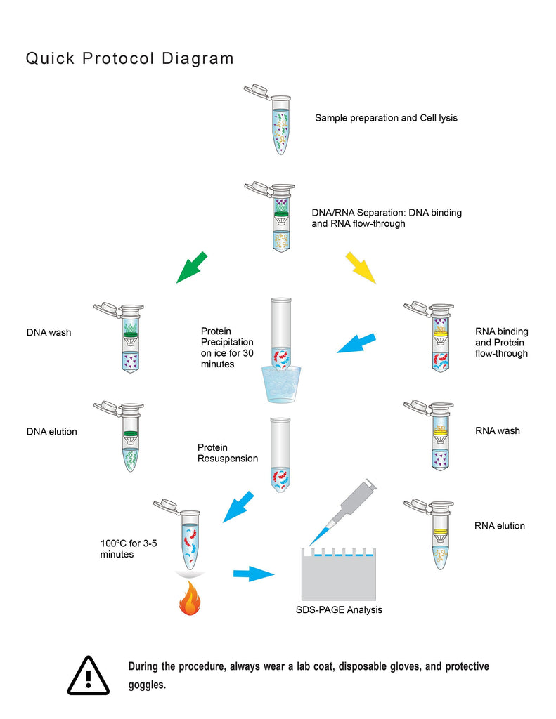 DNA RNA Protein Extraction Kit | DNA | RNA | Protein | IBI Scientific