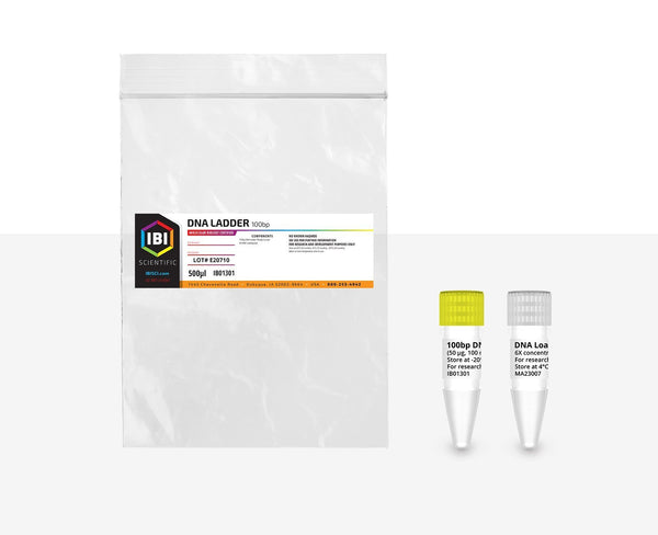 100bp DNA Ladder