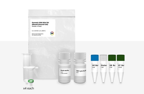 Mini Genomic DNA Kit | Blood & Cultured Cells | IBI Scientific