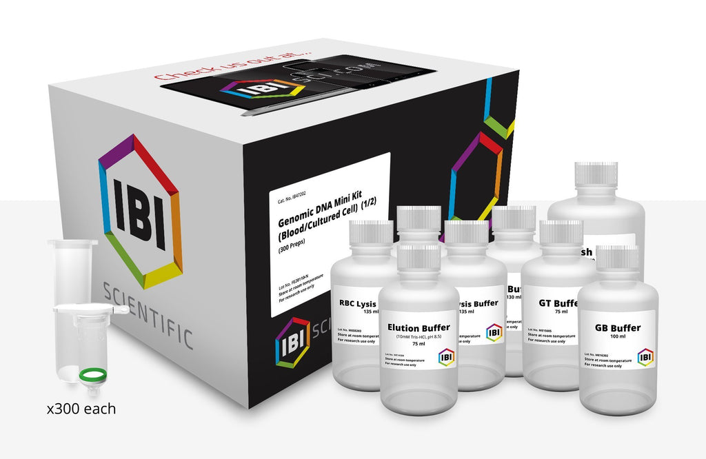 Mini Genomic DNA Kit | Blood & Cultured Cells | IBI Scientific