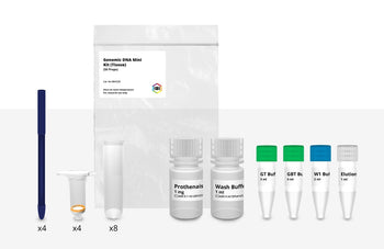 Mini Genomic DNA Kit (Tissue)