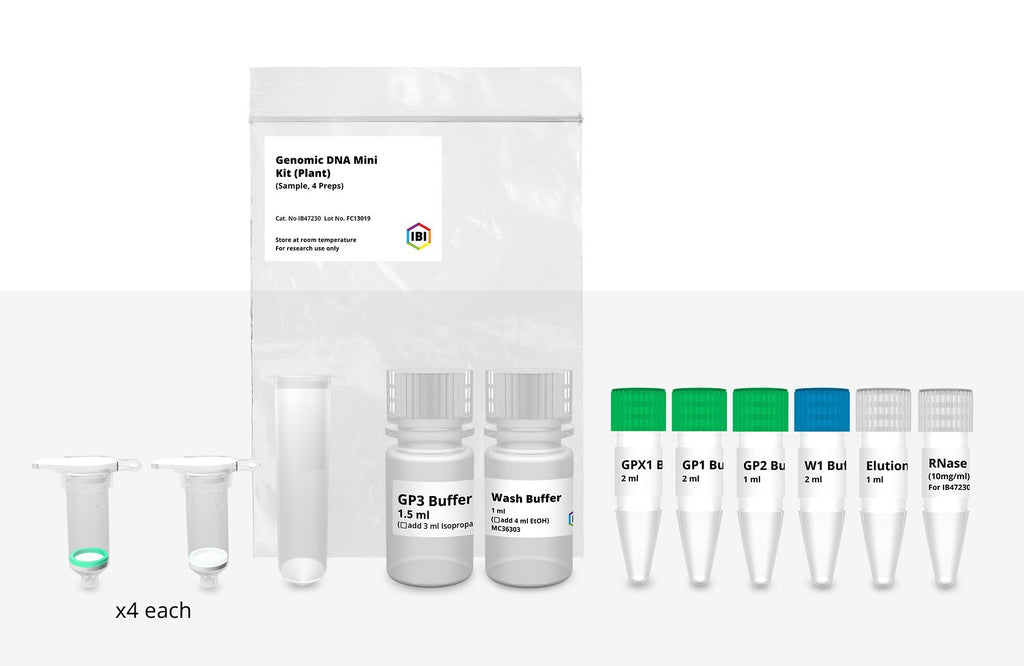 Mini Genomic DNA Kit | Plant & Fungi | DNA Extraction | IBI Scientific