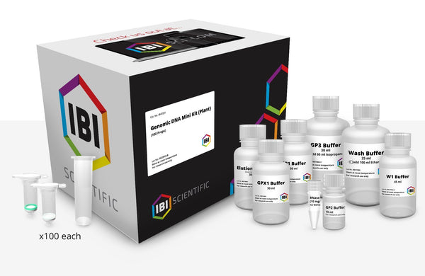 Mini Genomic DNA Kit | Plant & Fungi | DNA Extraction | IBI Scientific