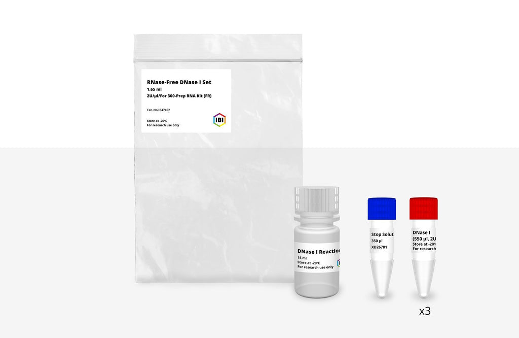 DNase I | RNA Extraction | DNA Extraction | IBI Scientific