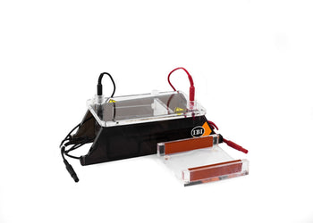 Mini Gel-O Horizontal Electrophoresis System