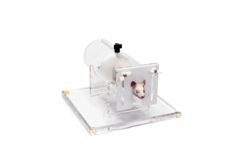 Rat Restraint | Head/Eye Studies | IBIScientific | Lab Animal